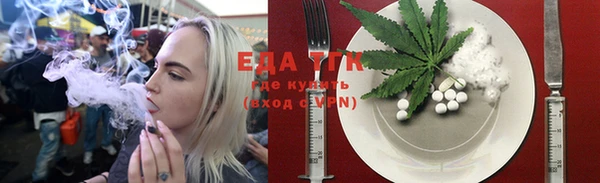 мдпв Вязьма