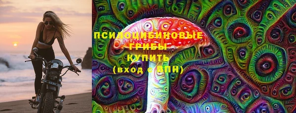 мдпв Вязьма