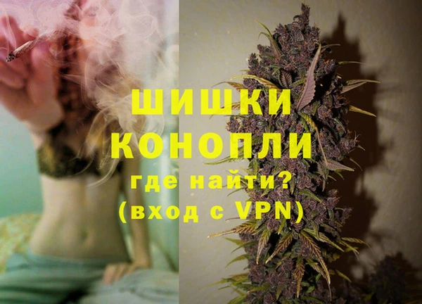 мдпв Вязьма
